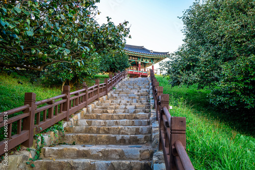 Seocheon Maryang-ri dongbaegjeong in Camellia Forest photo