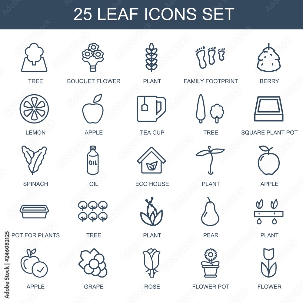 Naklejka premium 25 leaf icons