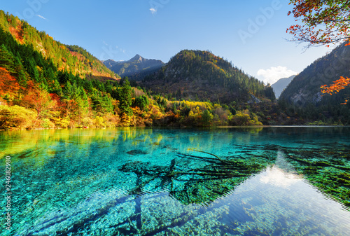 Fototapeta Naklejka Na Ścianę i Meble -  Amazing colorful autumn forest reflected in the Five Flower Lake