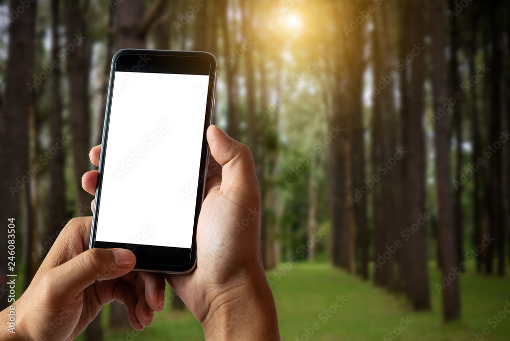 Hand holding white mobile phone with blank white screen  in forest.
