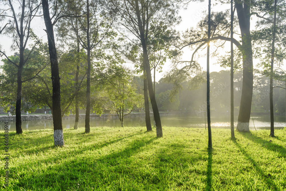 Wonderful view of scenic lake through woods at sunset Wonderful view of scenic lake through woods at sunset
