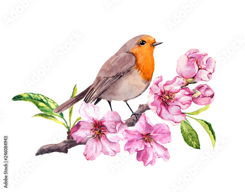 Bird in cherry or apple flowers. Springtime blossom, sakura branch. Watercolor