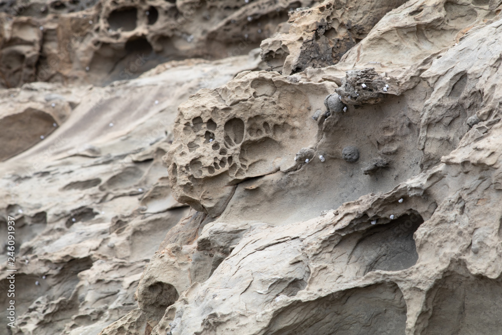 Stone Texture - Cliff Face Sandstone
