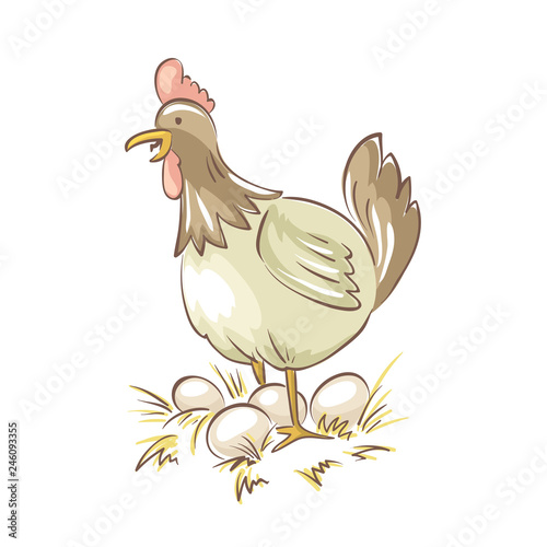 Chicken family. Vector illustration, Funny chicken with eggs