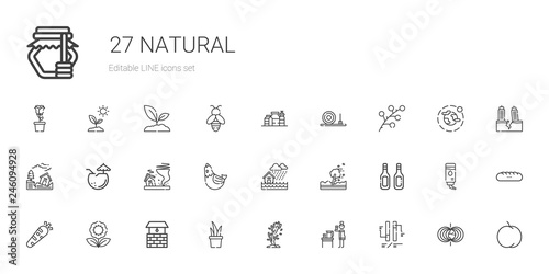 natural icons set