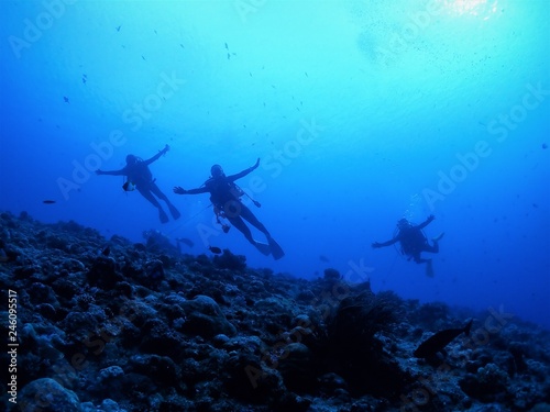 Three divers are posing in the sea.