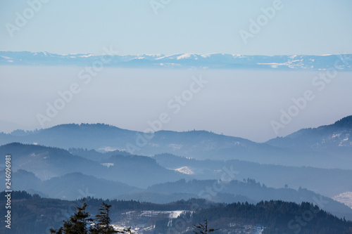 Fototapeta Naklejka Na Ścianę i Meble -  Nebel im winterlichen Tal