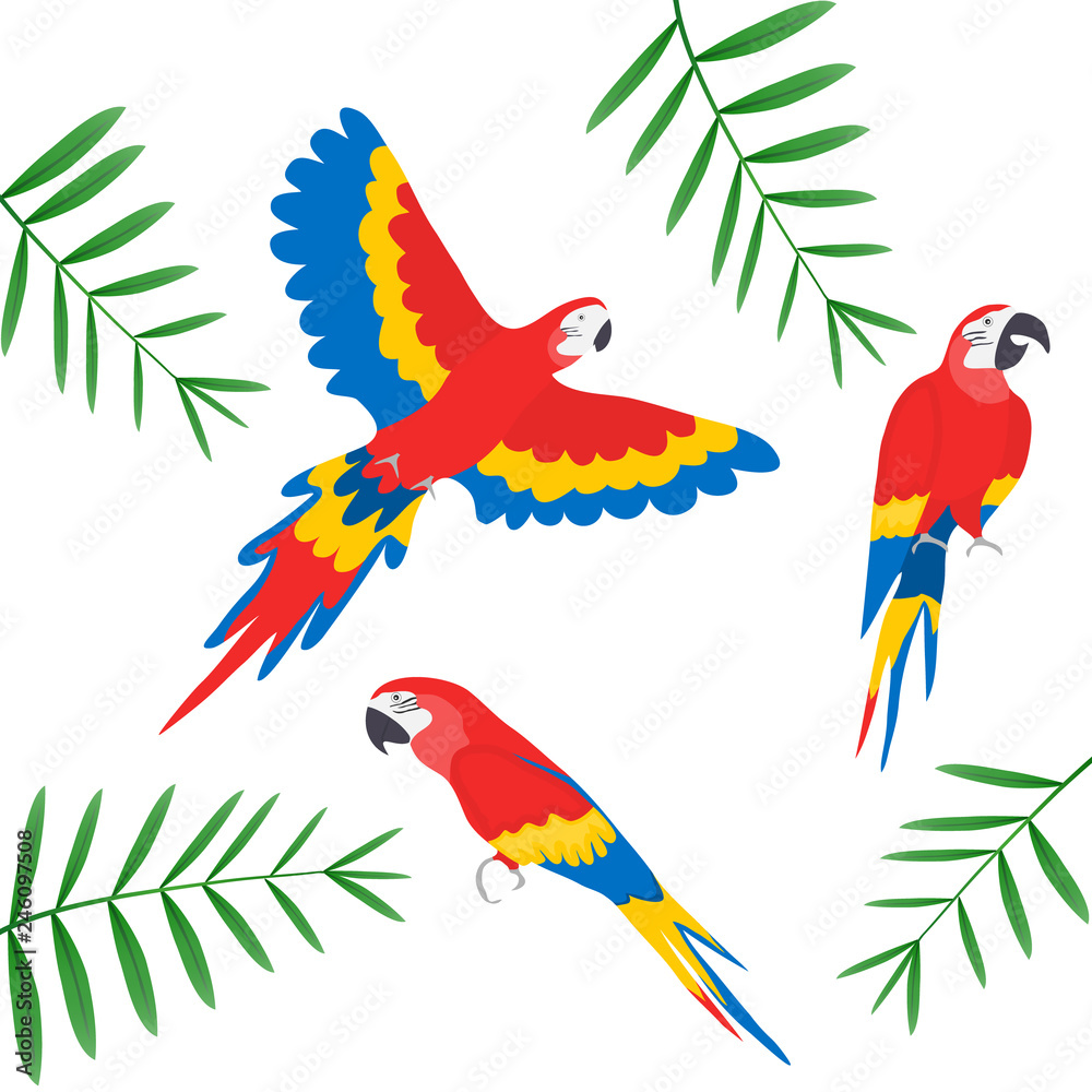 Tropical parrots collection. Vector isolated elements on the white  background. Ara parrot. Macaw. Stock Vector | Adobe Stock