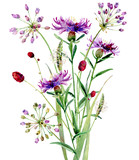 A small bouguet of watercolor wild flowers