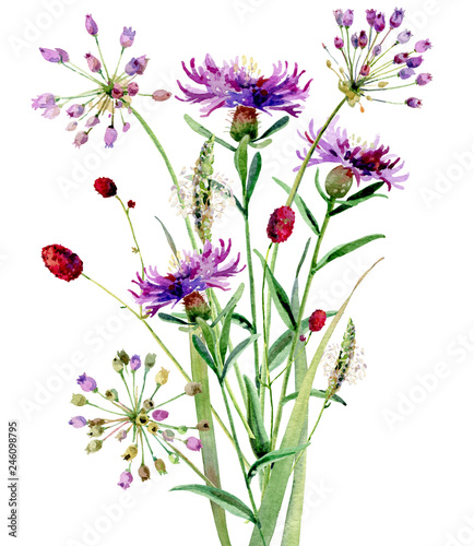 A small bouguet of watercolor wild flowers