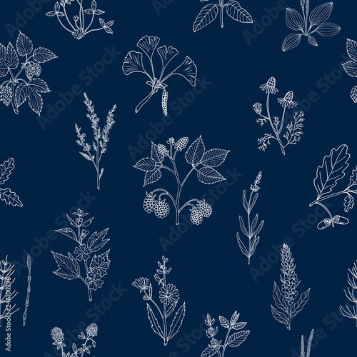 Seamless pattern with hand drawn medicinal plants