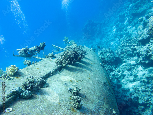 Wreck of old ship covered with coral reef at the bottom of tropical sea, underwater landcape