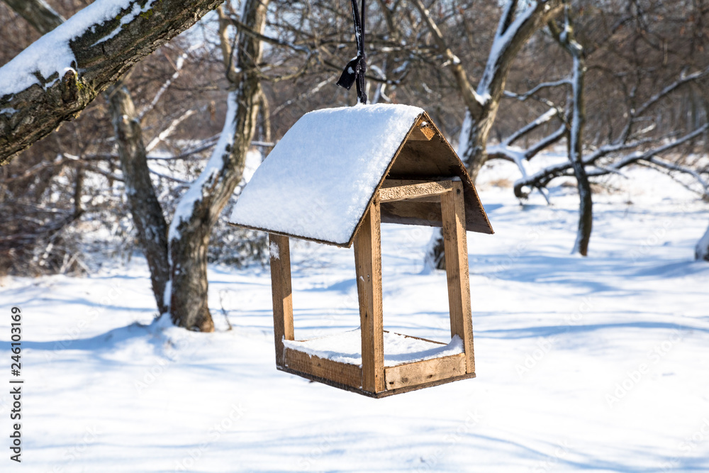 nesting box or feeding trough in winter snowy park nesting box or feeding trough in winter snowy park