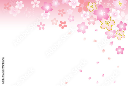 Cherry background / postcard template