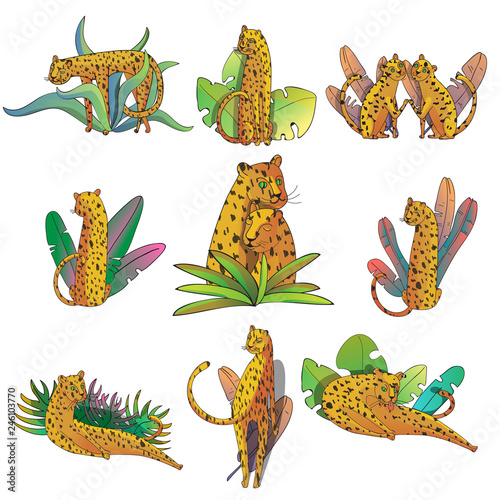Photography Vector set of hand drawn leopards with topical leaves