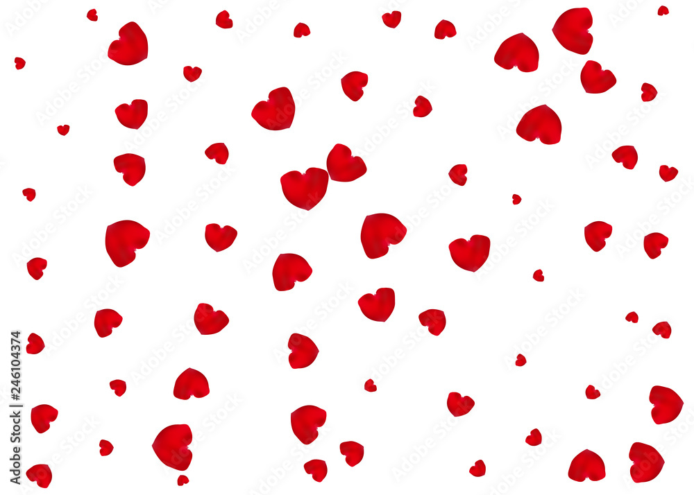 Red rose petals. Red rose petals.