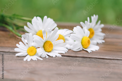 White daisies lay on a rough table.