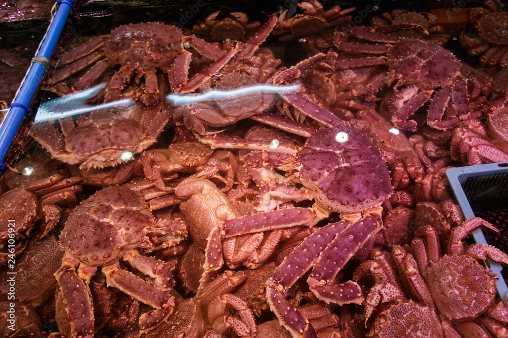 Fresh Japanese hair crab, King Crab of Hokkaido, Japan , Fresh Red King Crab Fresh Japanese hair crab, King Crab of Hokkaido, Japan , Fresh Red King Crab