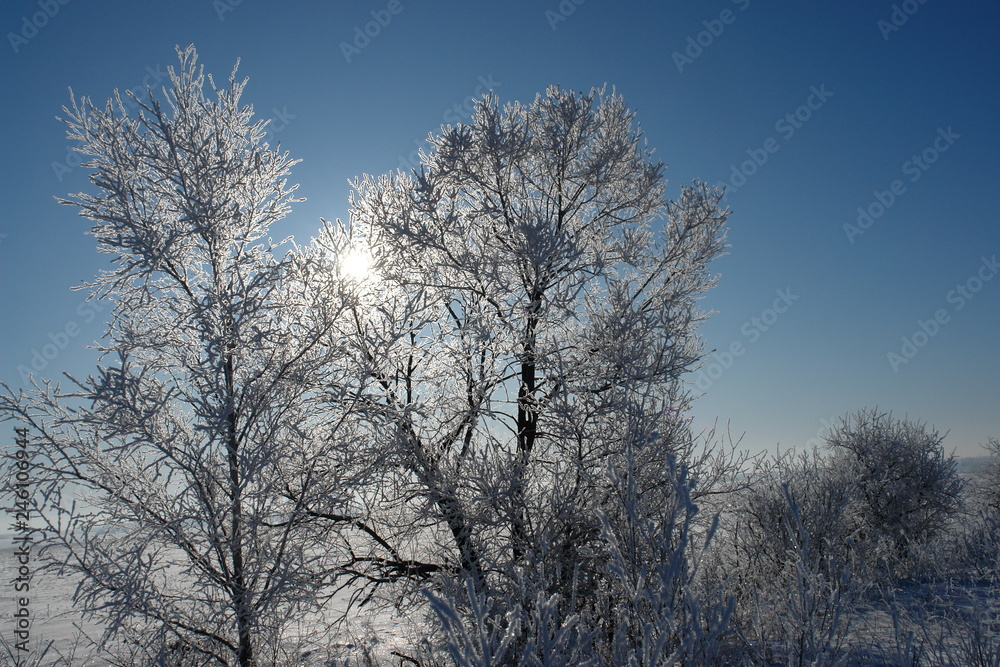 ice ice