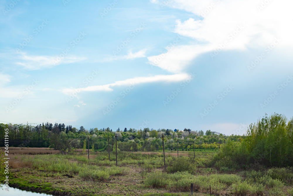 green field next to a forest in summer and a blue sky with clouds