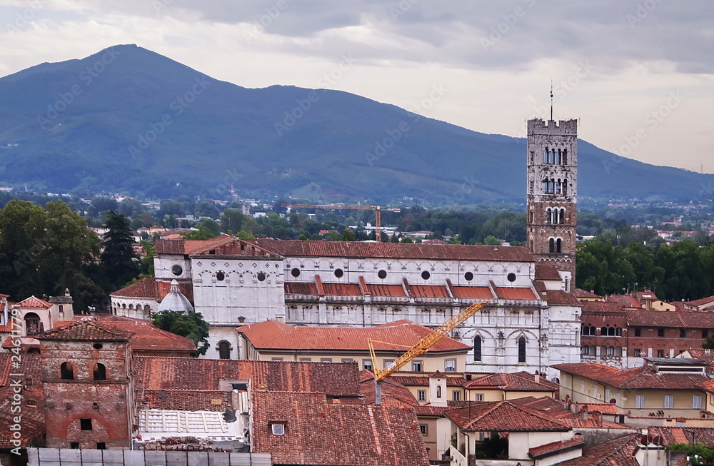 Aerial view from the Guinigi Tower of Lucca, Tuscany, Italy