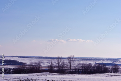 Plowed field covered with snow, line of poplar trees without leaves on the hills on horizon, winter landscape, bright blue cloudy sky