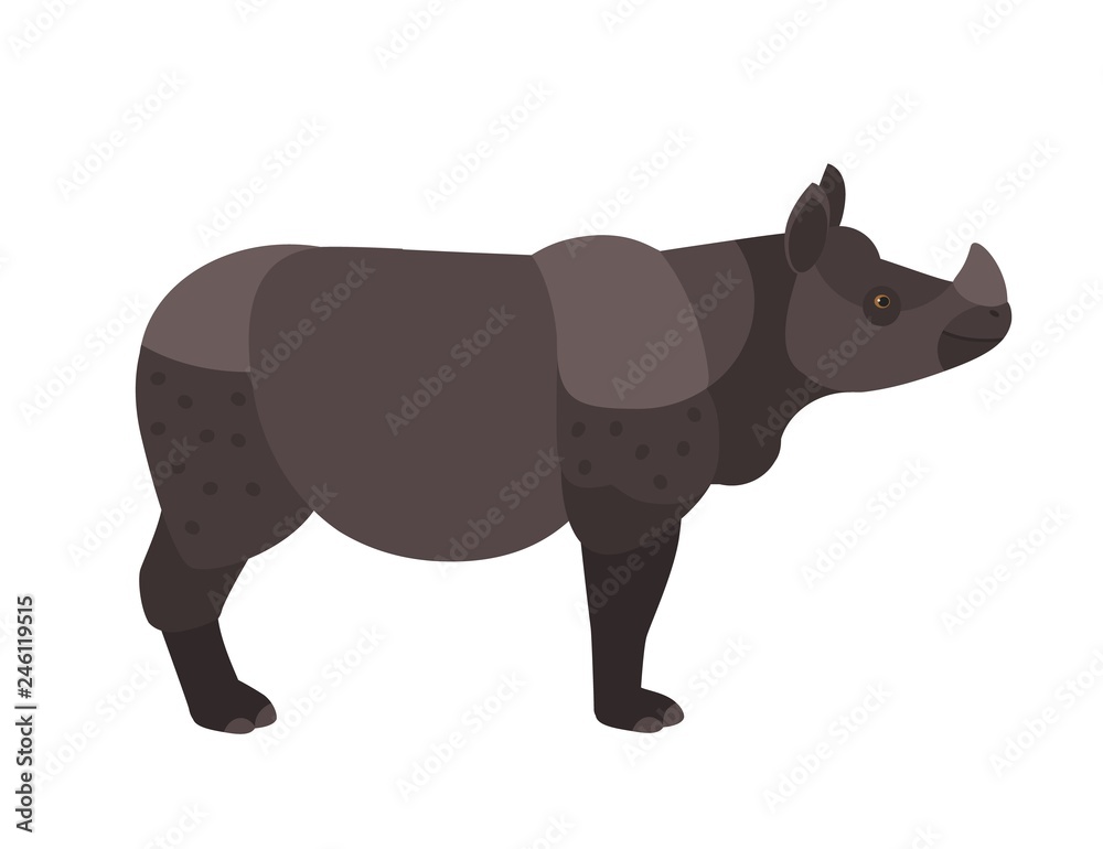 Naklejka premium Adorable rhino or rhinoceros isolated on white background