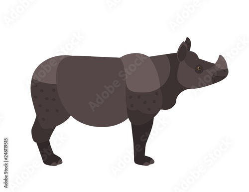 Adorable rhino or rhinoceros isolated on white background