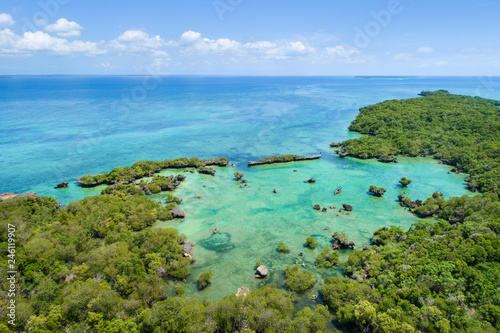 green lagoon with mangrove forest in Tanzania © sergejson