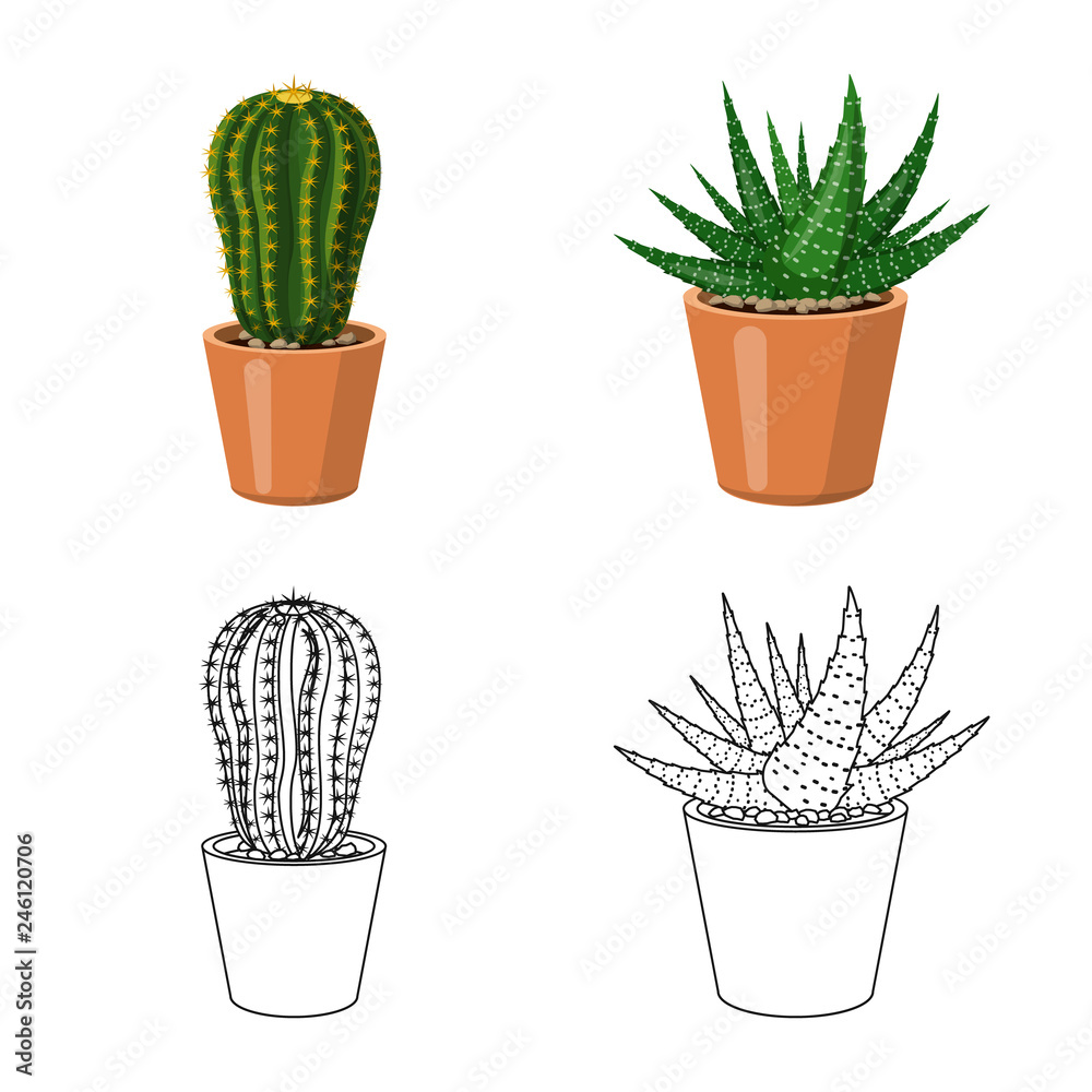 Vector design of cactus and pot symbol. Collection of cactus and cacti vector icon for stock. Vector design of cactus and pot symbol. Collection of cactus and cacti vector icon for stock.