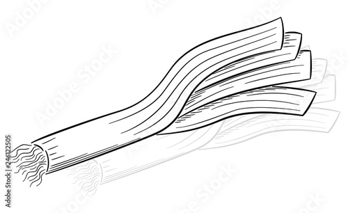 drawn cartoon leek stick