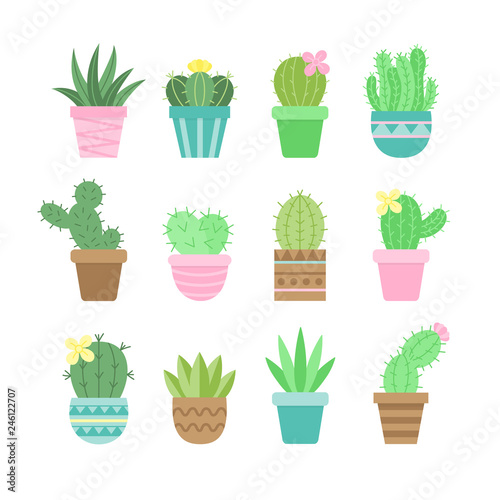 Cute cactus set, different types of cacti in patterned plant pots, vector illustrations, succulent isolated icon collection.