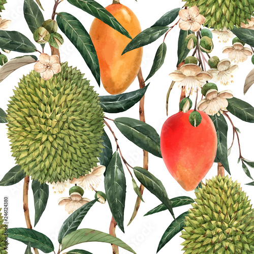Watercolor durian tropical vector seamless pattern