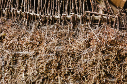 Detailed closuep of hay background photo