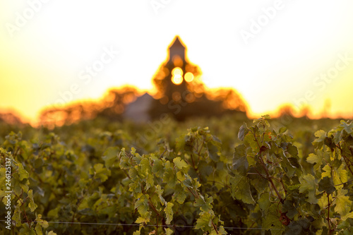 Photos Sunset over the vineyards of Montagne near Saint Emilion