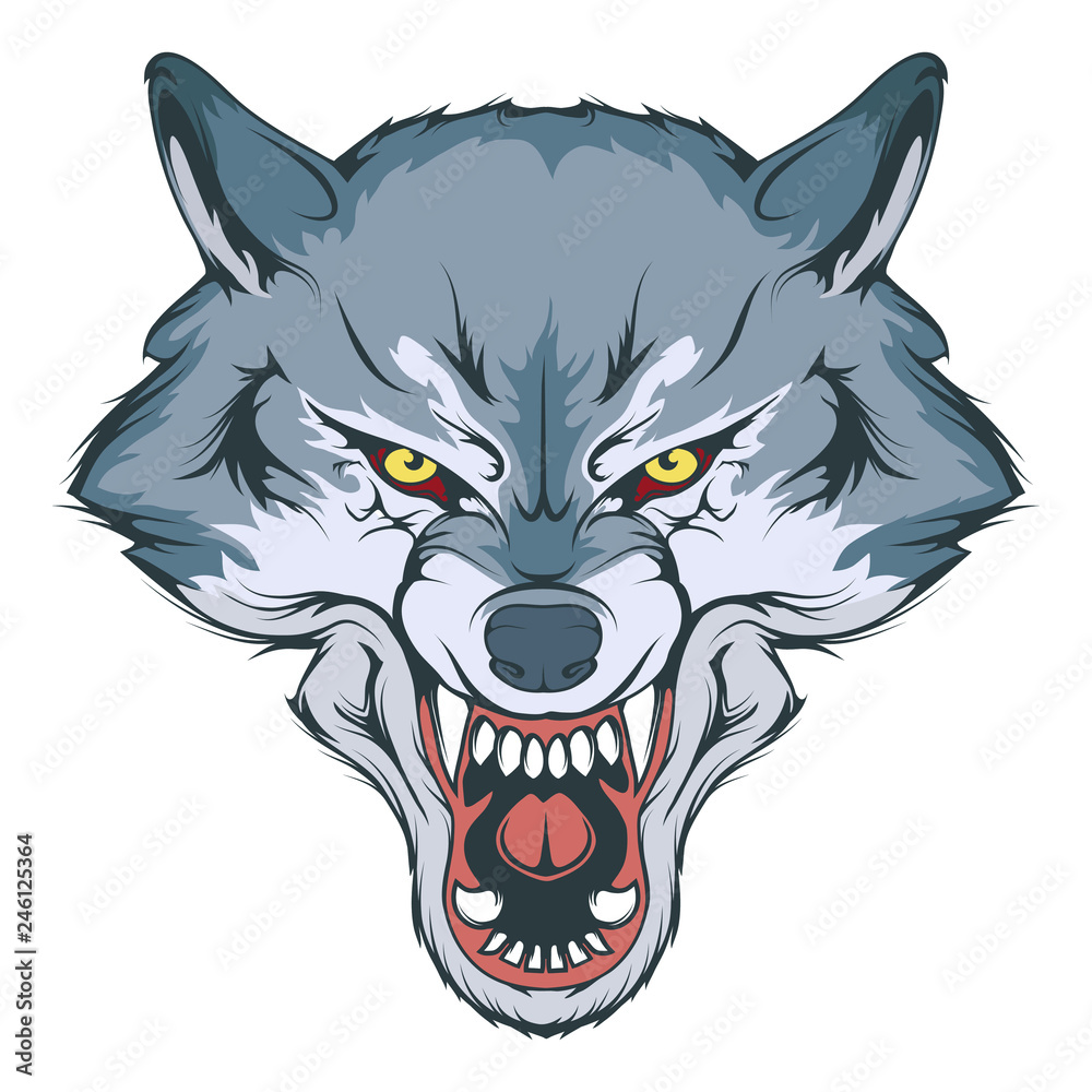 How to Draw a Wolf Head and Face  Simple 10Step Wolf Drawing Guide