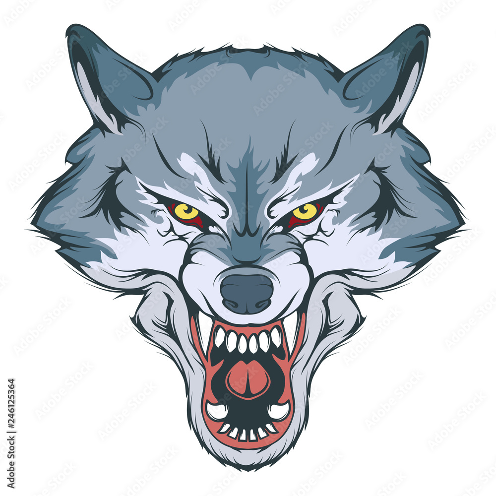 wolf head vector drawing, wolf face drawing sketch, wolf head colored  drawing, vector graphics to design Stock Vector | Adobe Stock