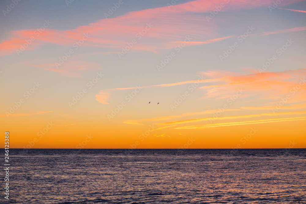 Birds fly over the quiet calm sea