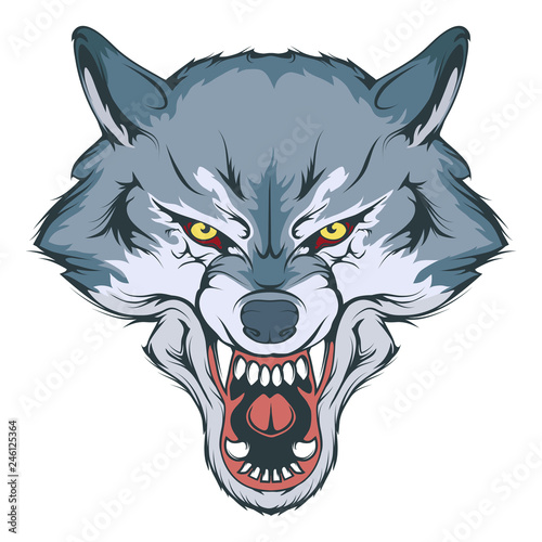 wolf head vector drawing, wolf face drawing sketch, wolf head colored drawing, vector graphics to design