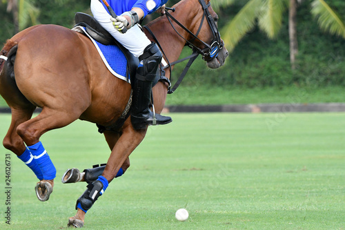 Polo Player Playing Polo Horse During the Games.