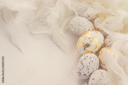 Easter eggs and feathers on a white background