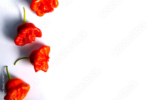Bishop s crown flower shaped decorative peppers