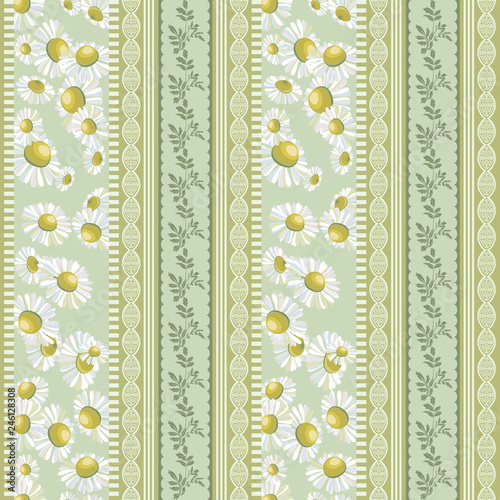 White daisies flowers and vertical border with leaves.Seamless pattern