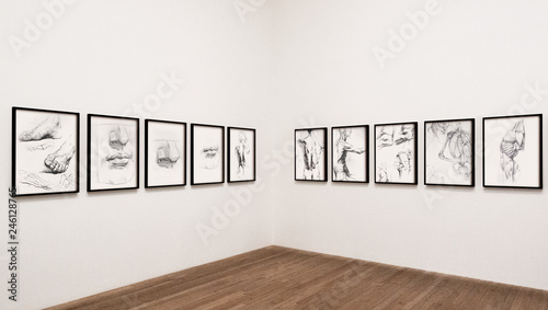 Collection of sketched human body parts framed on a wall