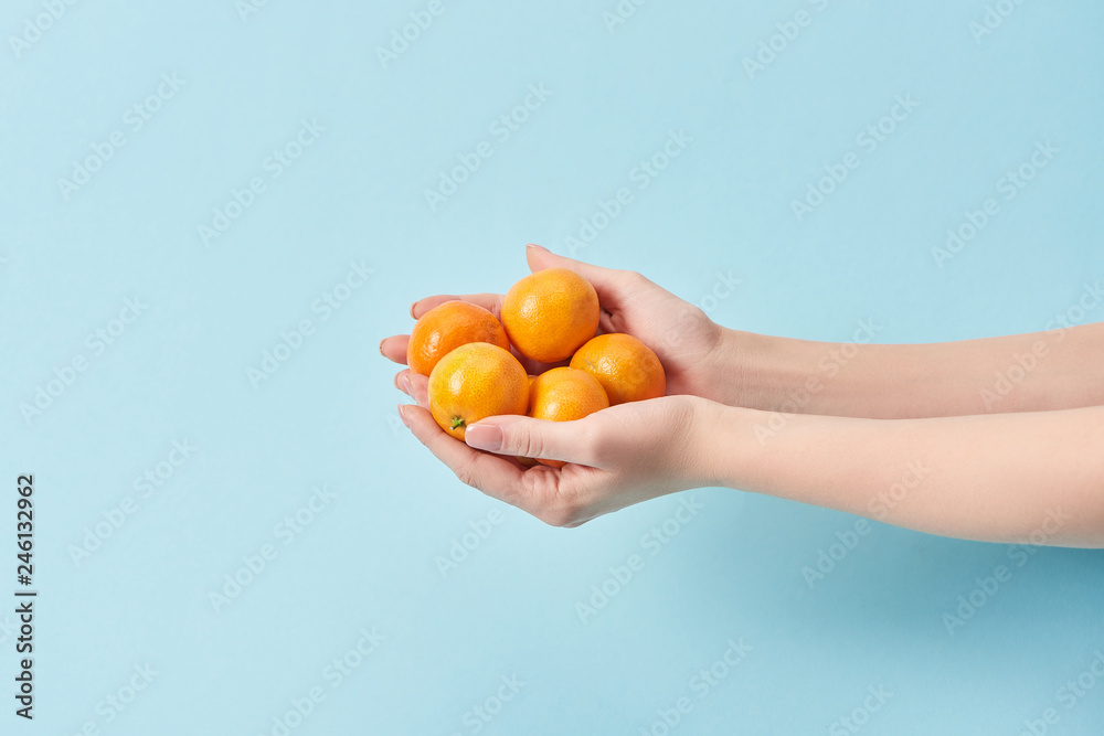 cropped view of woman holding tasty tangerines in hands isolated on blue cropped view of woman holding tasty tangerines in hands isolated on blue