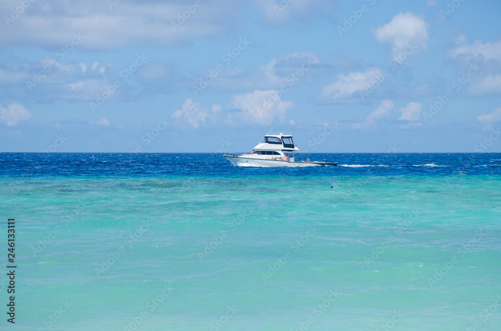 the island on Maldives a landscape of the beach of the ocean and the ship