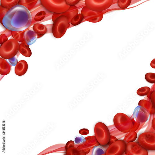 SNn Round frame. Circulation of erythrocytes, leukocytes and platelets in plasma. Vector illustration isolated on white background.