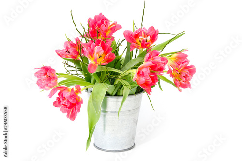 red tulips in a bucket on white background