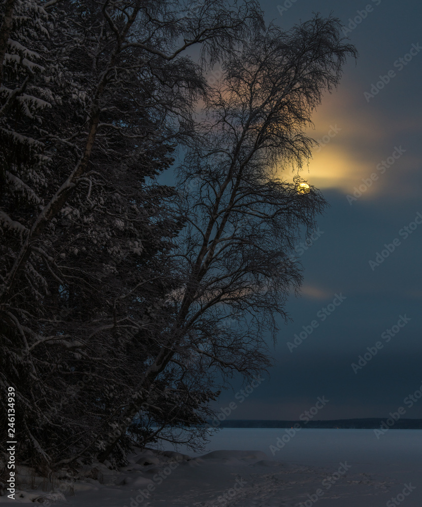 Winter nature landscape with frozen lake and full moon