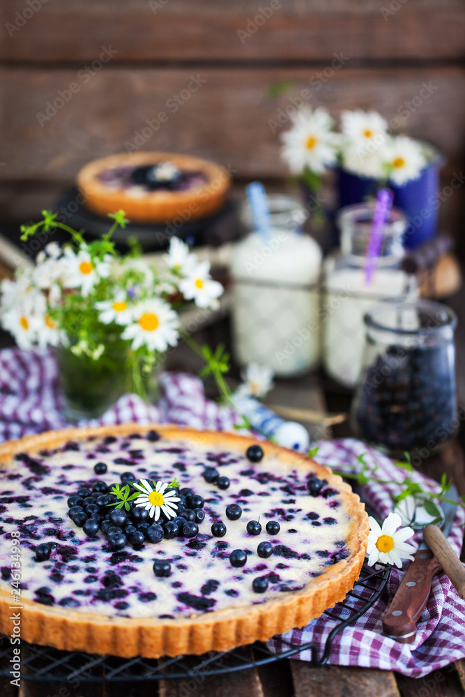 Fresh homemade creamy blueberry tart (open pie) on rustic background